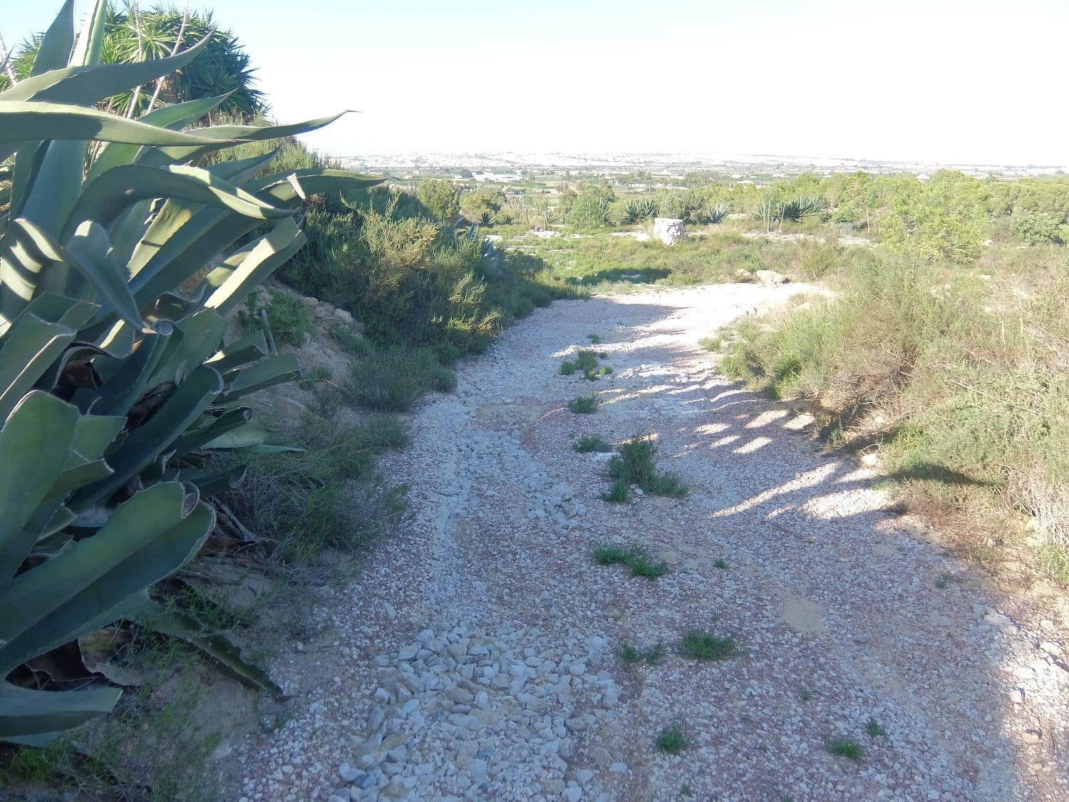 Rakentamaton maa myytävänä paikassa Rojales - 70 000 € (Ref: 4804520)