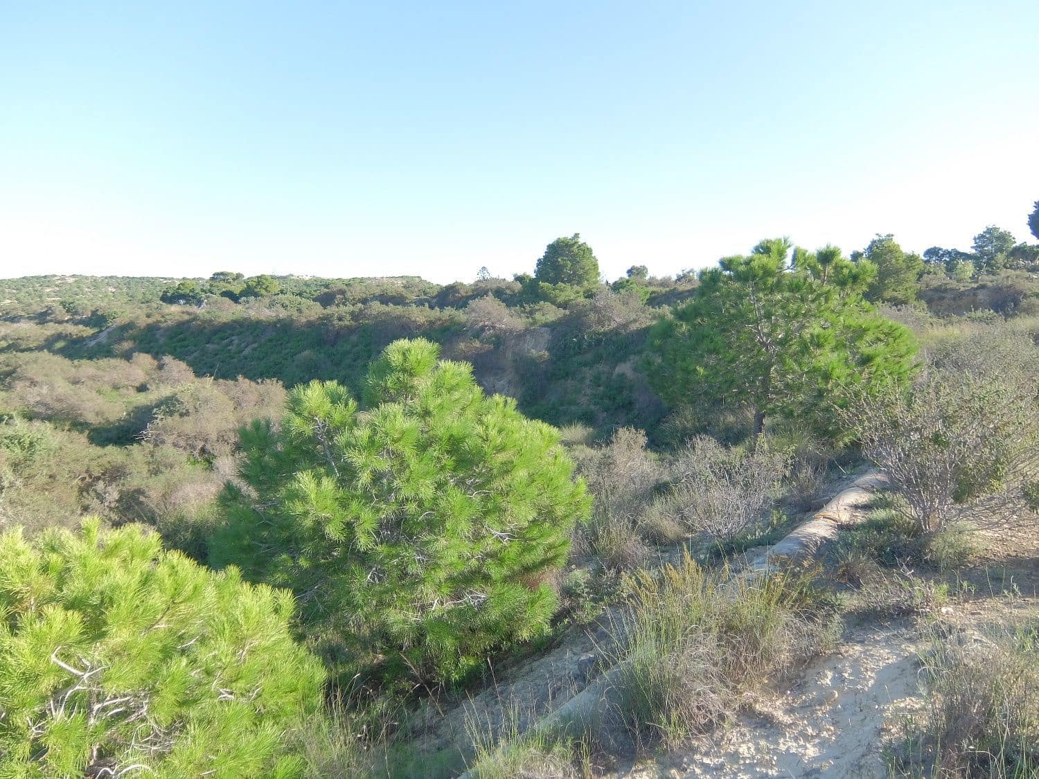 Rakentamaton maa myytävänä paikassa Rojales - 70 000 € (Ref: 4804520)