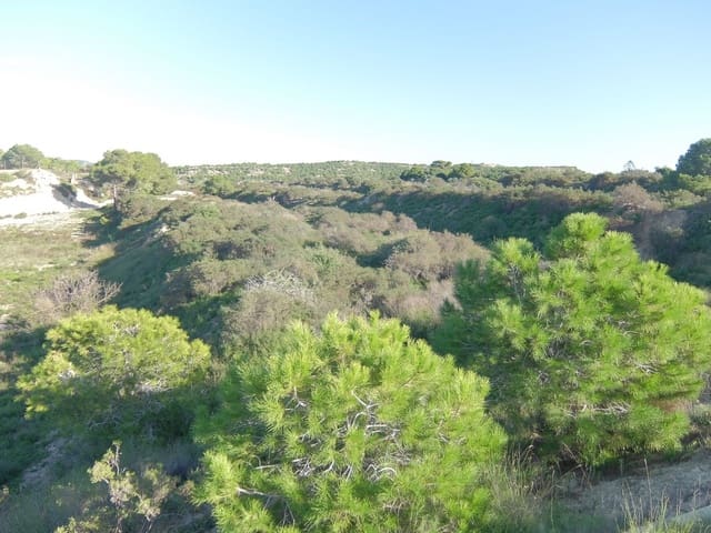 Ubebygd land til salgs i Rojales - € 70 000 (Ref: 4804520)