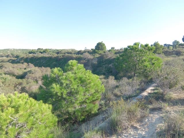 Ubebygd land til salgs i Rojales - € 70 000 (Ref: 4804520)