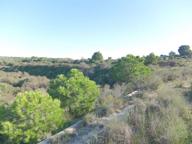 Ubebygd land til salgs i Rojales - € 70 000 (Ref: 4804520)