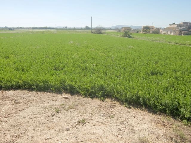 Grond te koop in Molins - Campaneta - San Bartolomé, Orihuela - € 800.000 (Ref: 4861253)