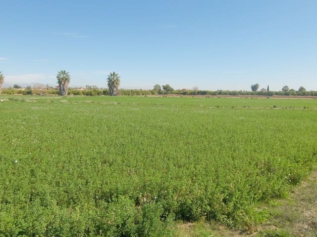 Grond te koop in Molins - Campaneta - San Bartolomé, Orihuela - € 800.000 (Ref: 4861253)