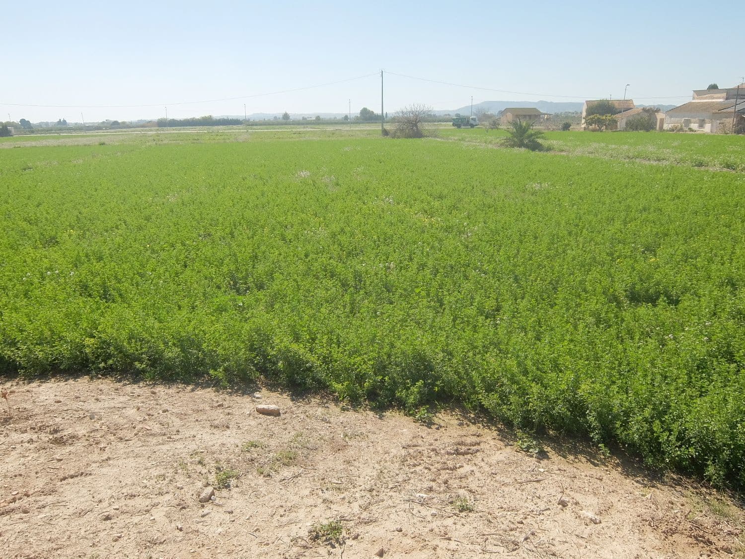 Grunde uden byggetilladelser til salg i Orihuela - € 800.000 (Ref: 4861253)