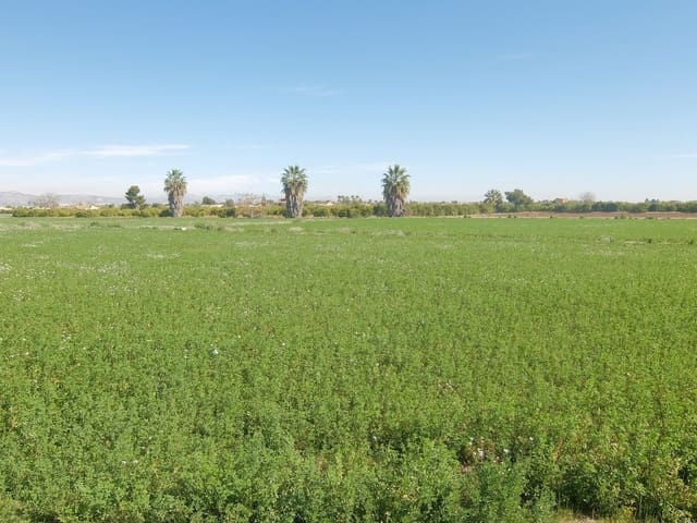 Grond te koop in Molins - Campaneta - San Bartolomé, Orihuela - € 800.000 (Ref: 4861253)