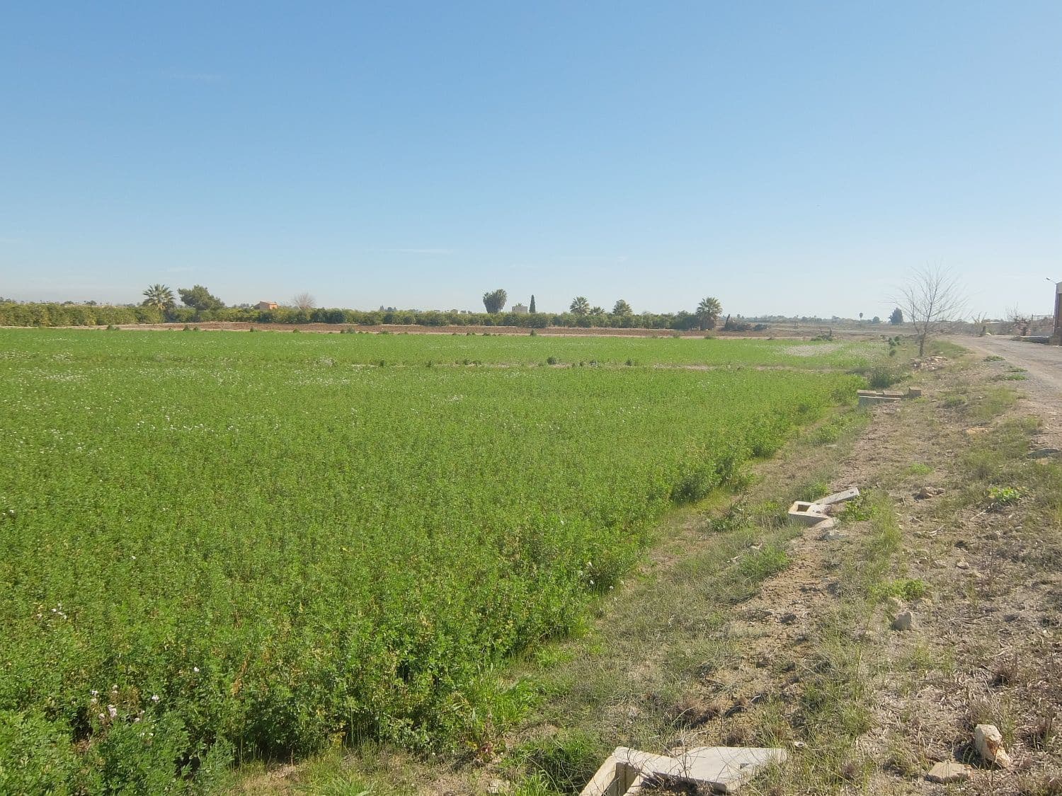 Grunde uden byggetilladelser til salg i Orihuela - € 800.000 (Ref: 4861253)