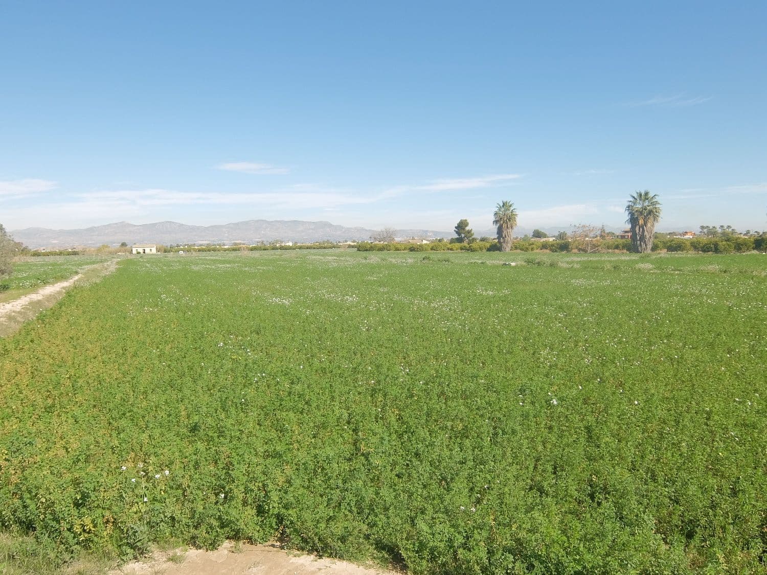 Grunde uden byggetilladelser til salg i Orihuela - € 800.000 (Ref: 4861253)