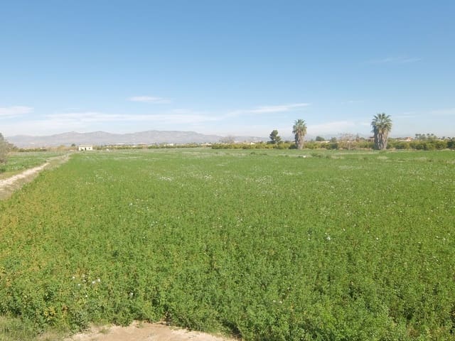 Grond te koop in Molins - Campaneta - San Bartolomé, Orihuela - € 800.000 (Ref: 4861253)