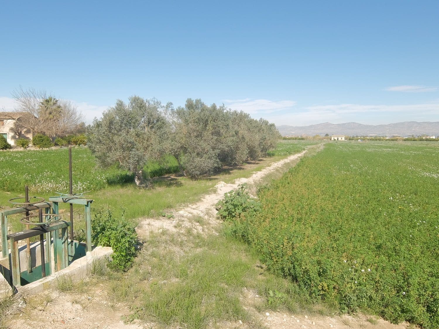 Grunde uden byggetilladelser til salg i Orihuela - € 800.000 (Ref: 4861253)