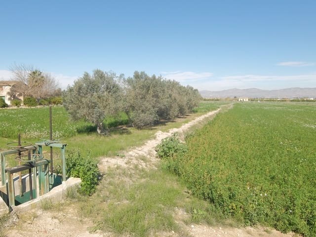 Grond te koop in Molins - Campaneta - San Bartolomé, Orihuela - € 800.000 (Ref: 4861253)