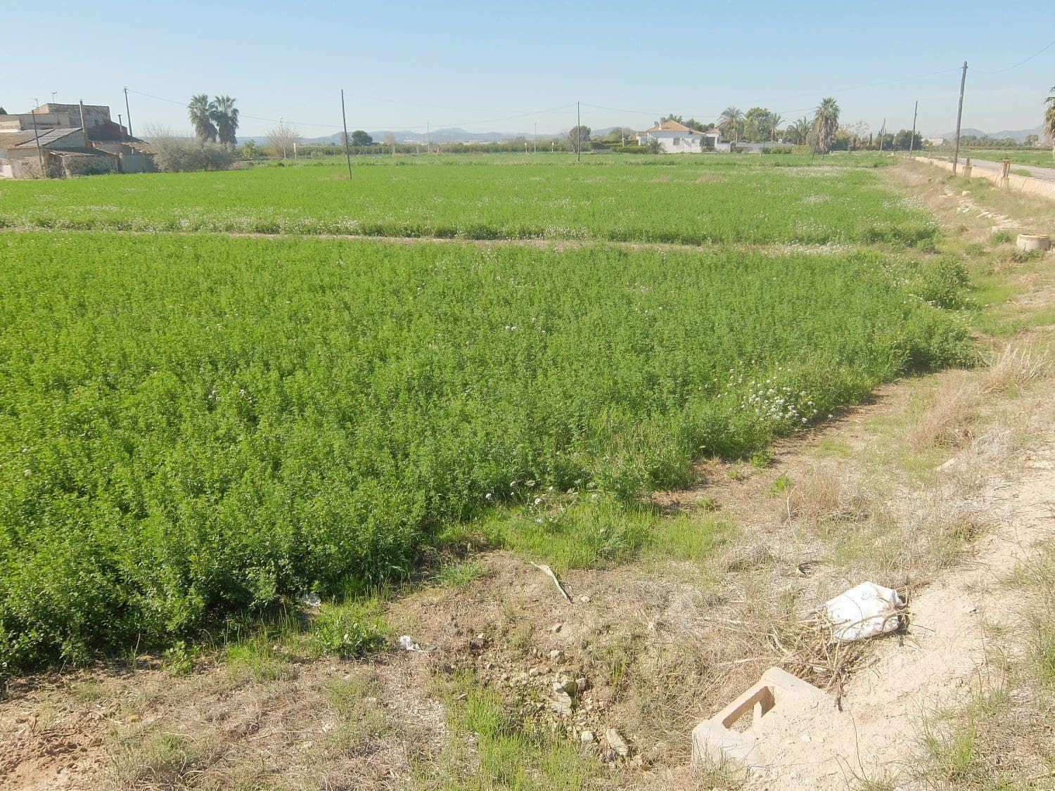 Grunde uden byggetilladelser til salg i Orihuela - € 800.000 (Ref: 4861253)