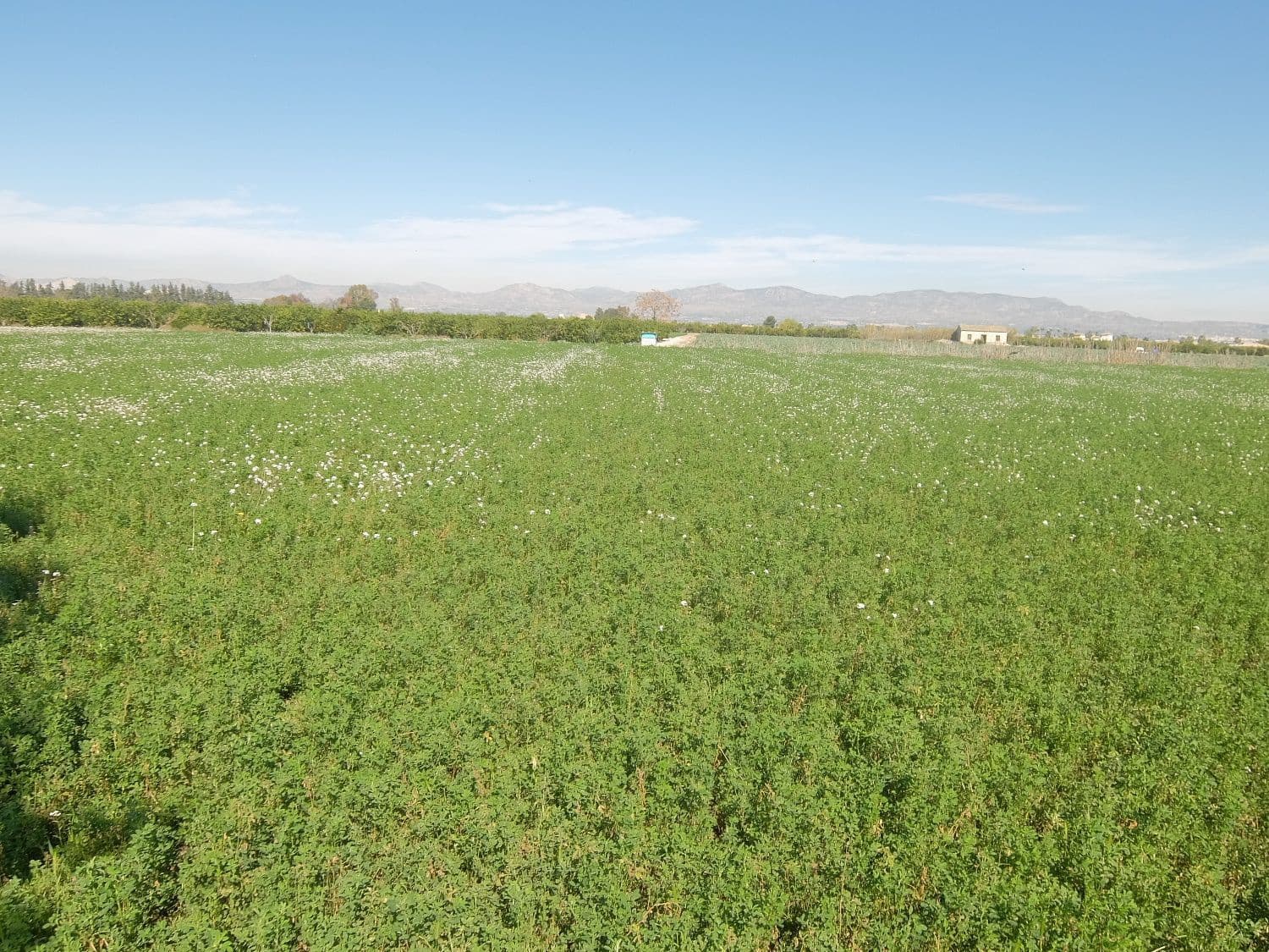 Grunde uden byggetilladelser til salg i Orihuela - € 800.000 (Ref: 4861253)