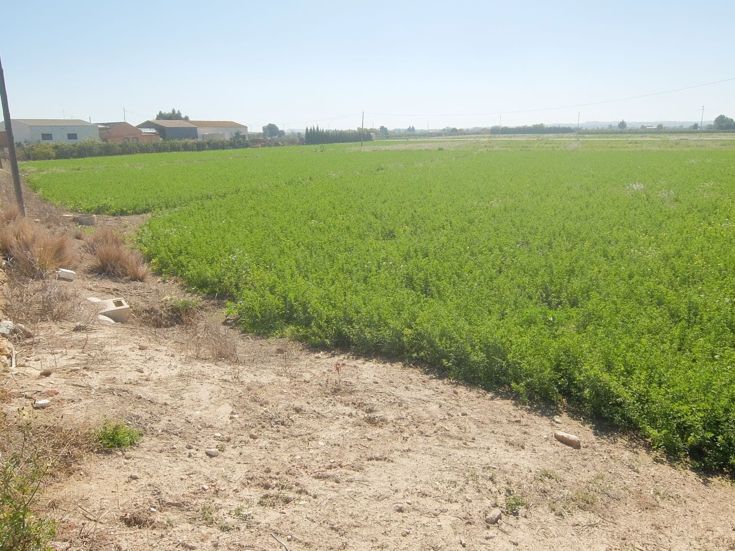 Grunde uden byggetilladelser til salg i Orihuela - € 800.000 (Ref: 4861253)
