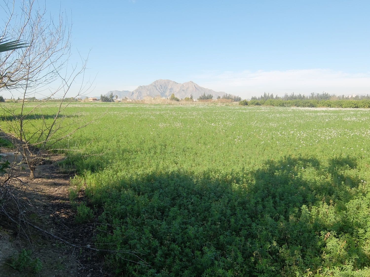 Grunde uden byggetilladelser til salg i Orihuela - € 800.000 (Ref: 4861253)