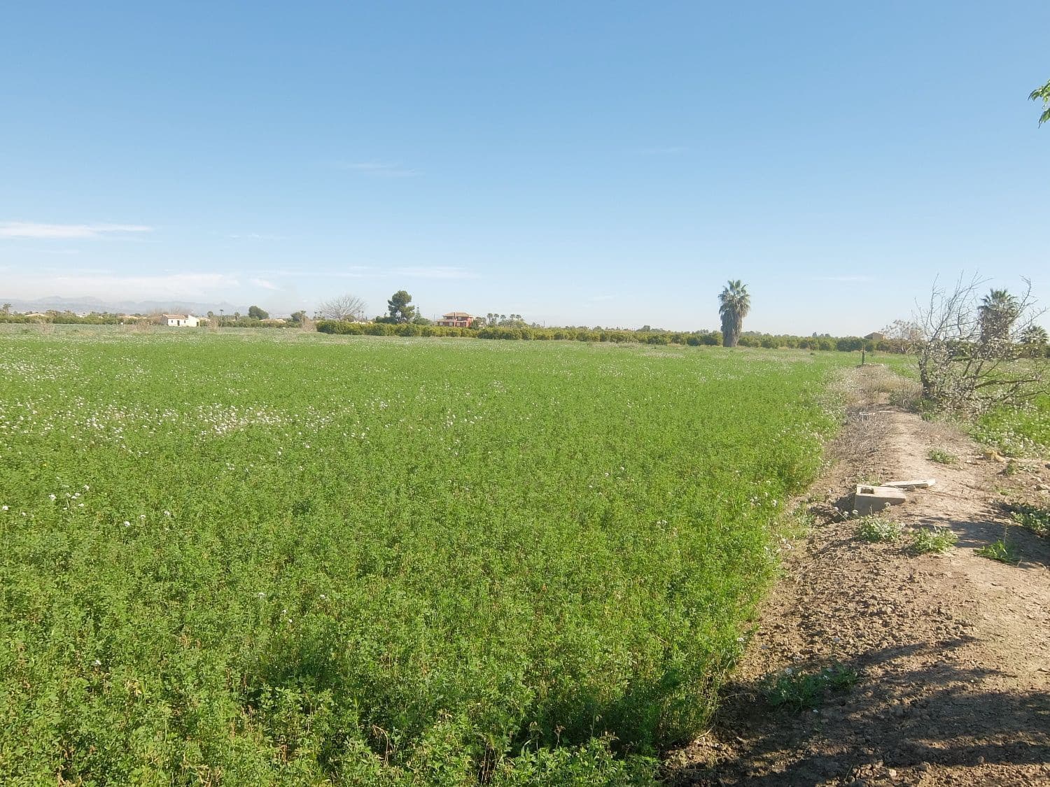 Grunde uden byggetilladelser til salg i Orihuela - € 800.000 (Ref: 4861253)