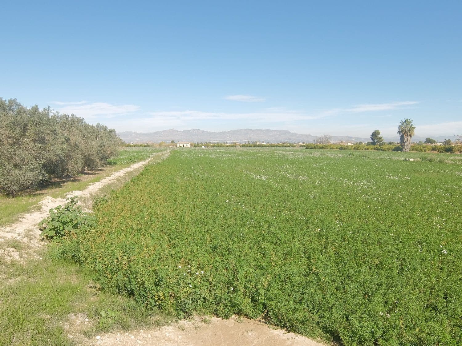 Grunde uden byggetilladelser til salg i Orihuela - € 800.000 (Ref: 4861253)