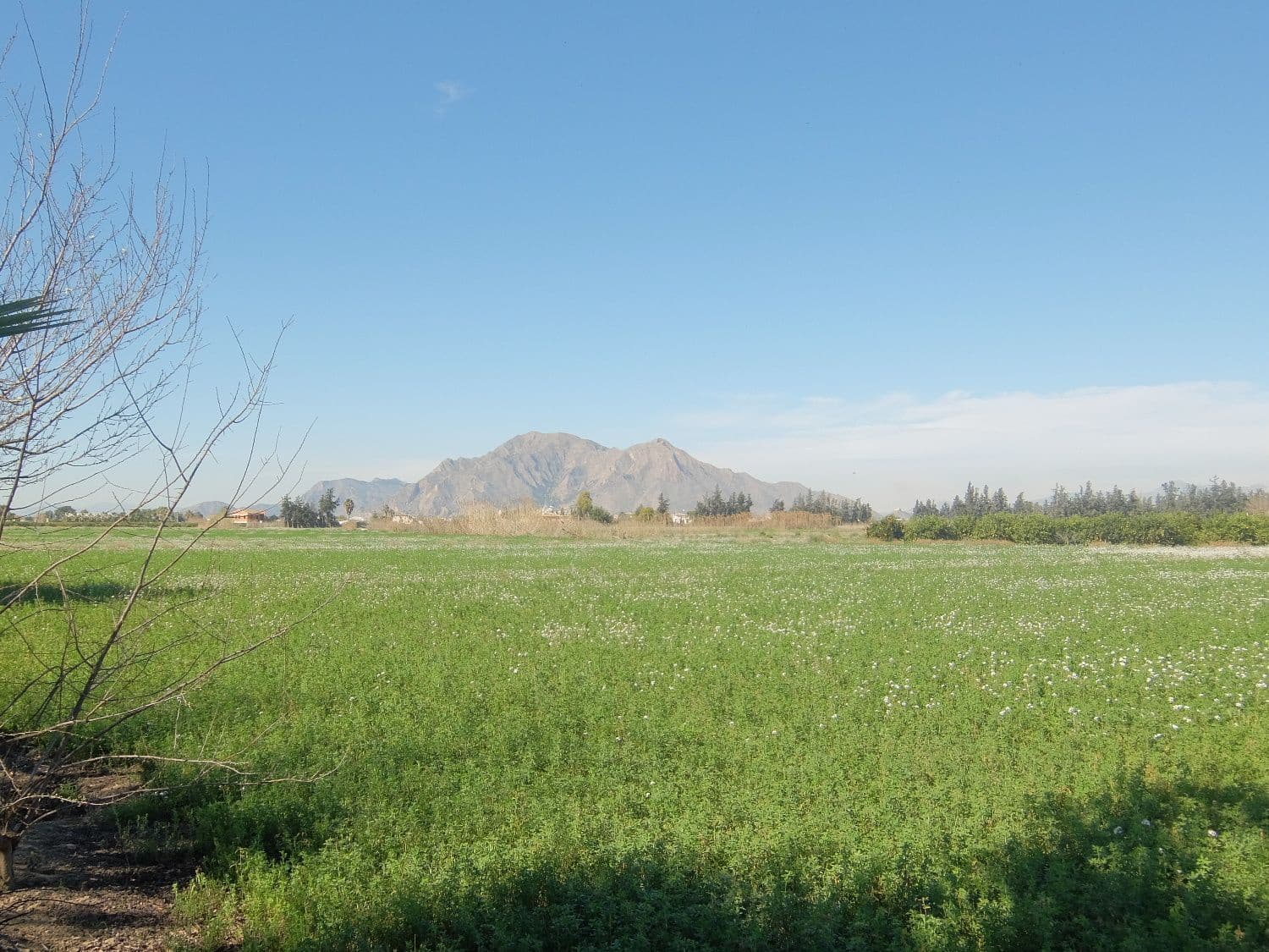 Grunde uden byggetilladelser til salg i Orihuela - € 800.000 (Ref: 4861253)