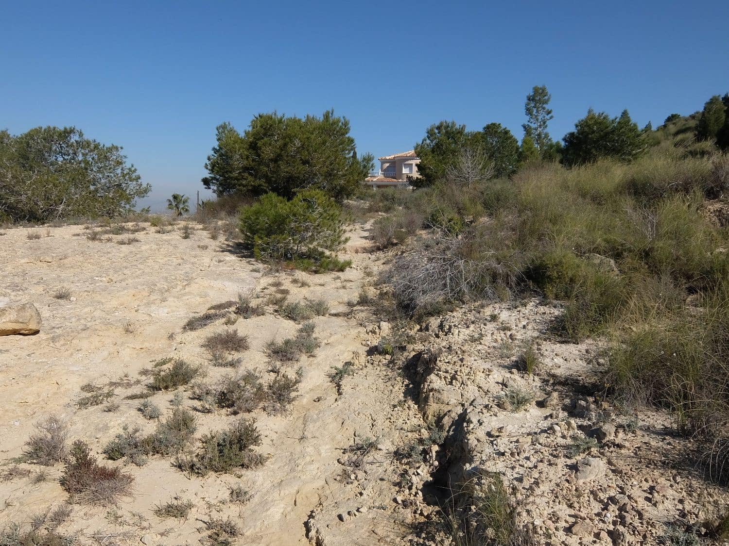 Rakentamaton maa myytävänä paikassa Almoradi - 190 000 € (Ref: 5132345)