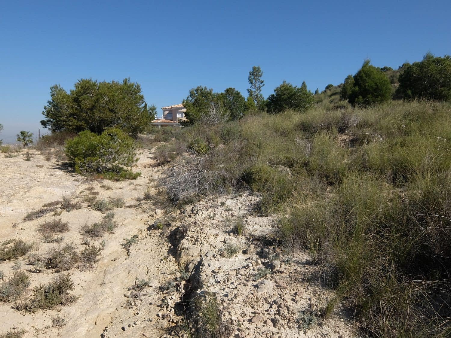 Rakentamaton maa myytävänä paikassa Almoradi - 190 000 € (Ref: 5132345)