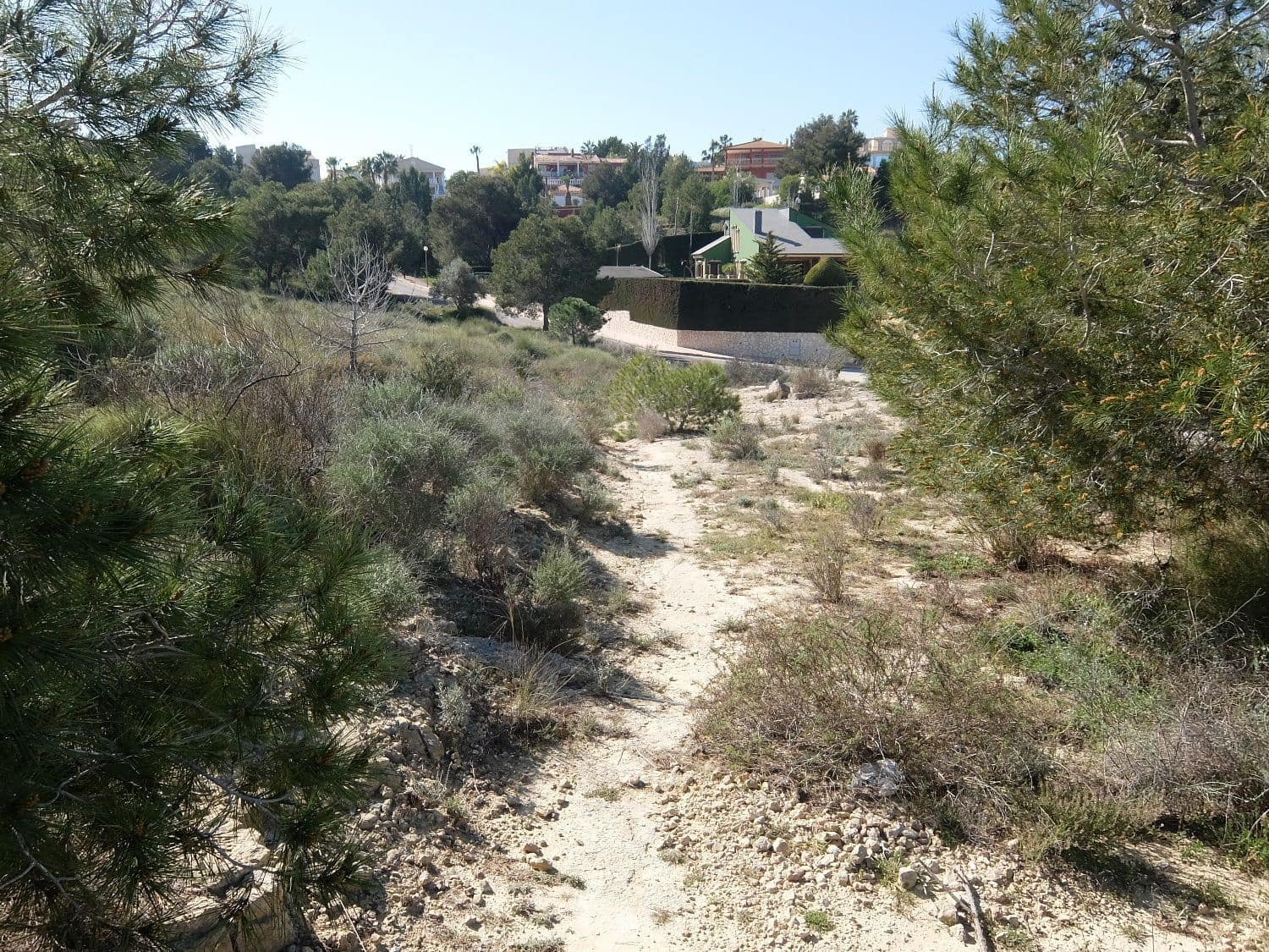 Rakentamaton maa myytävänä paikassa Almoradi - 190 000 € (Ref: 5132345)