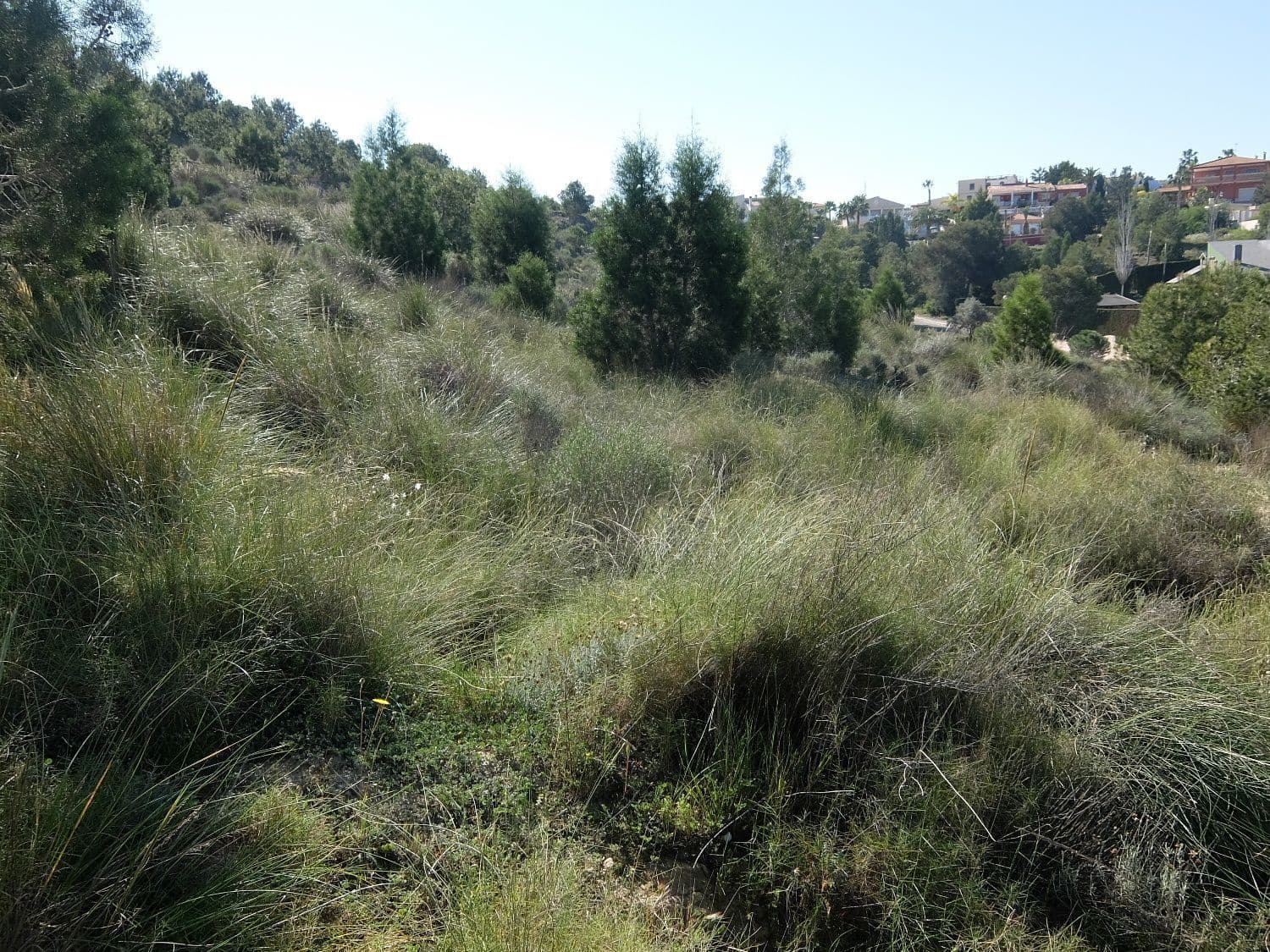 Rakentamaton maa myytävänä paikassa Almoradi - 190 000 € (Ref: 5132345)