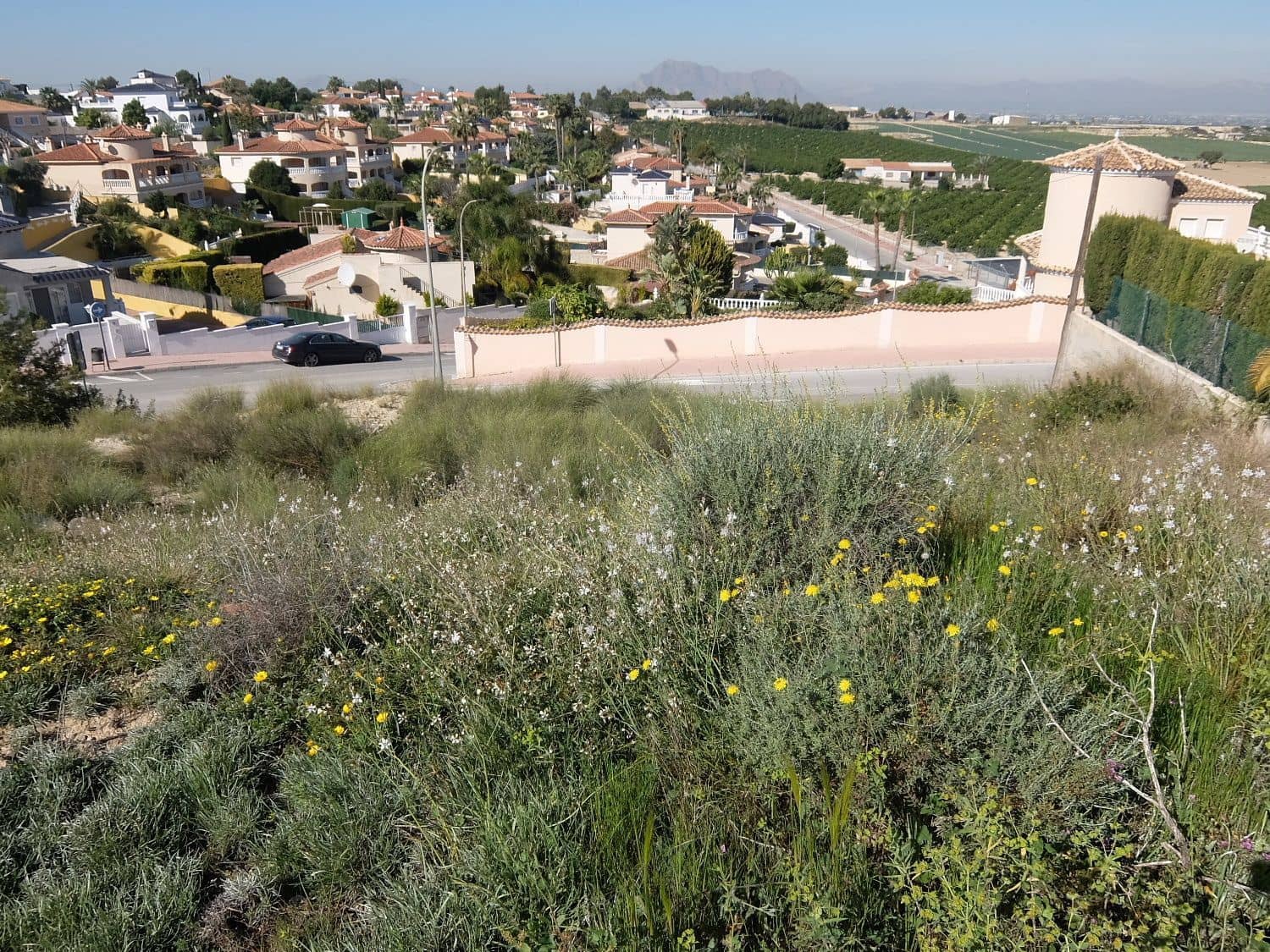 Rakentamaton maa myytävänä paikassa Almoradi - 190 000 € (Ref: 5132345)