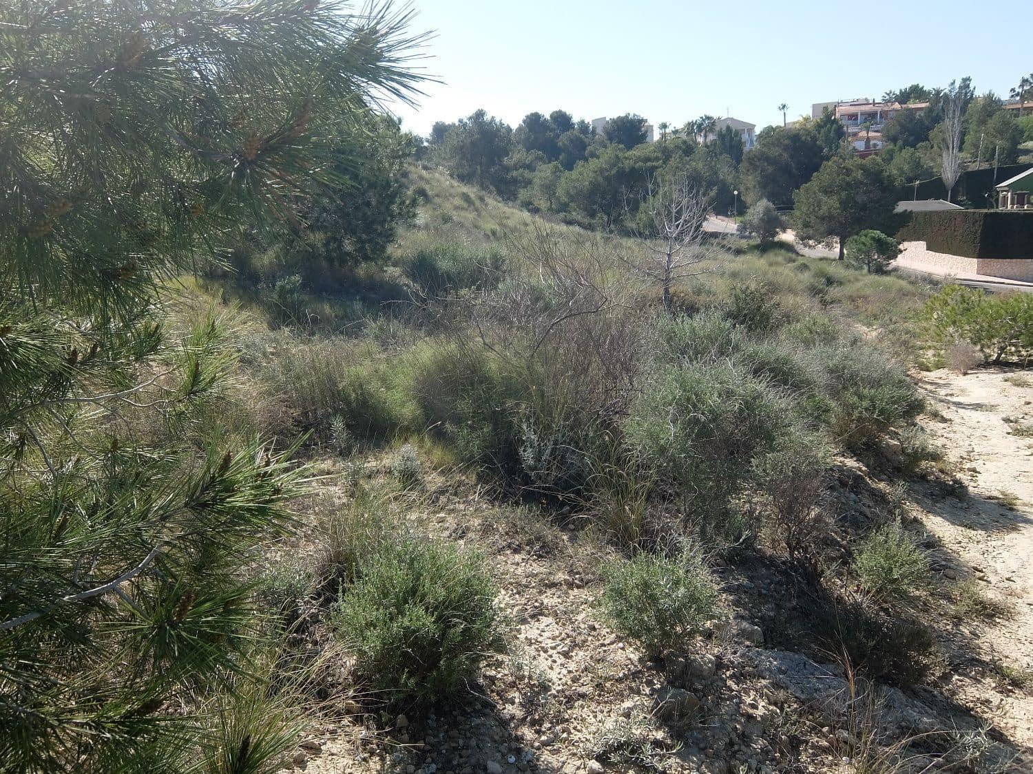 Rakentamaton maa myytävänä paikassa Almoradi - 190 000 € (Ref: 5132345)