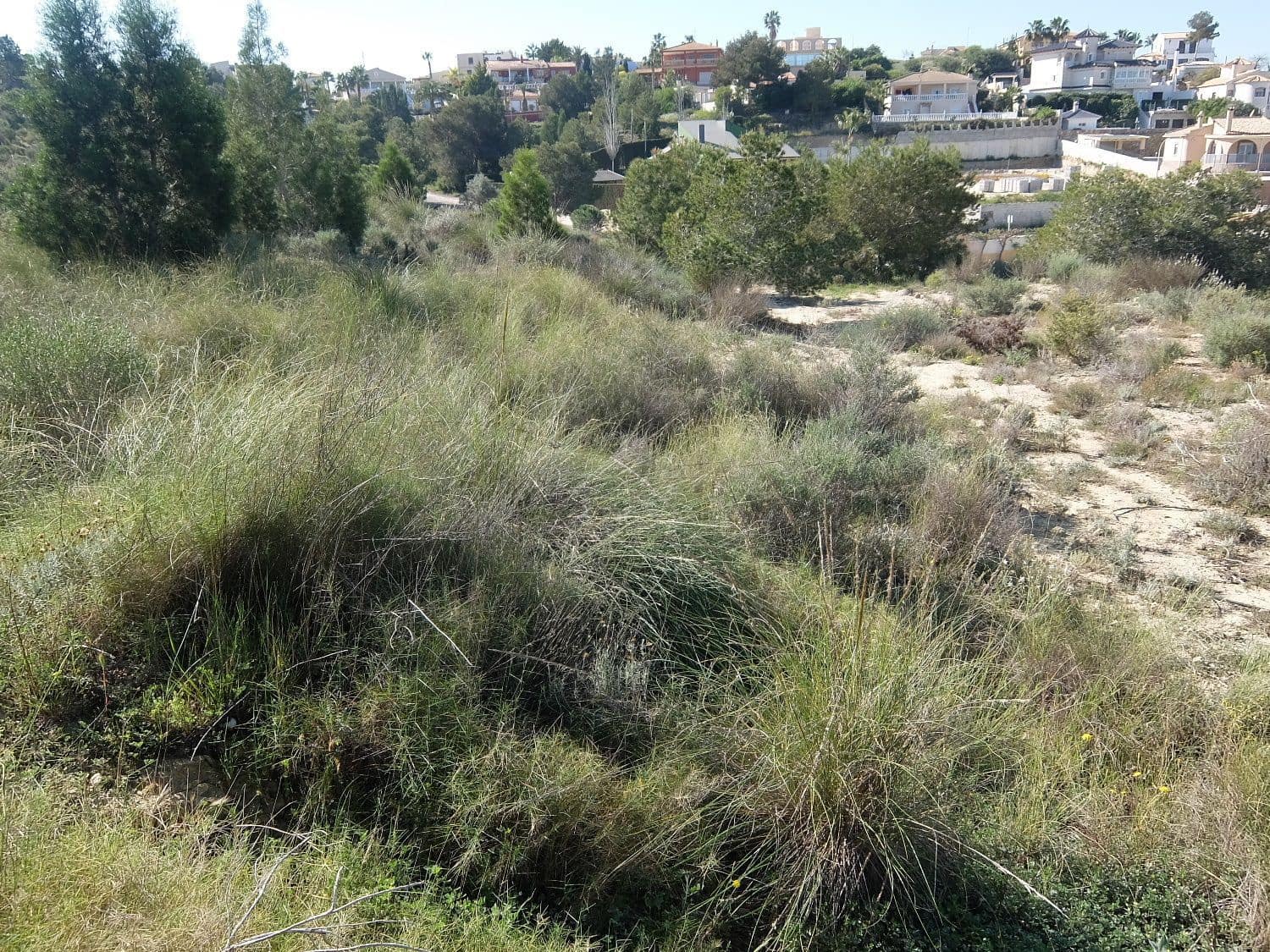 Rakentamaton maa myytävänä paikassa Almoradi - 190 000 € (Ref: 5132345)