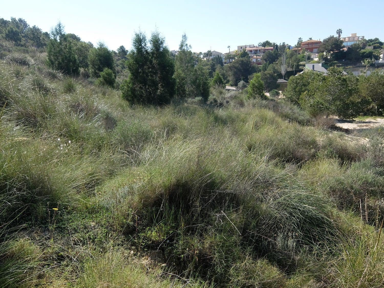 Rakentamaton maa myytävänä paikassa Almoradi - 190 000 € (Ref: 5132345)