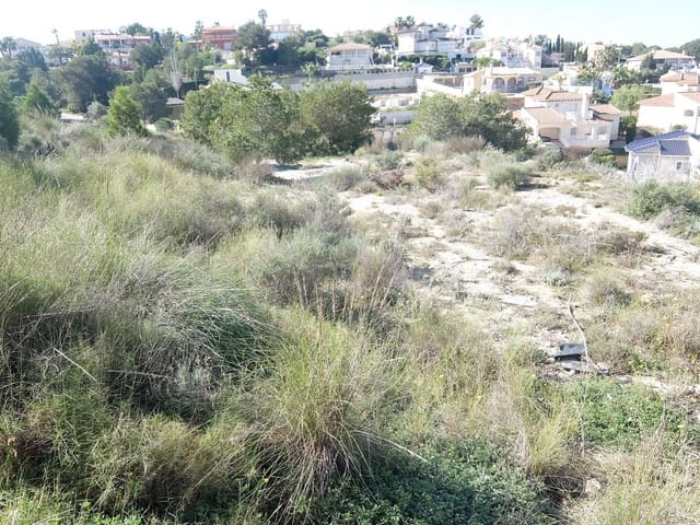 Grond te koop in Almoradí - € 190.000 (Ref: 5132345)