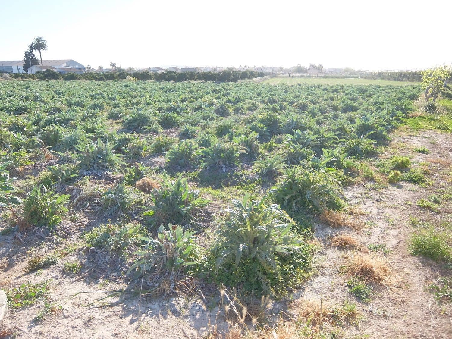 Finca/Landehus til salg i Daya Vieja med garage - € 149.000 (Ref: 5167458)