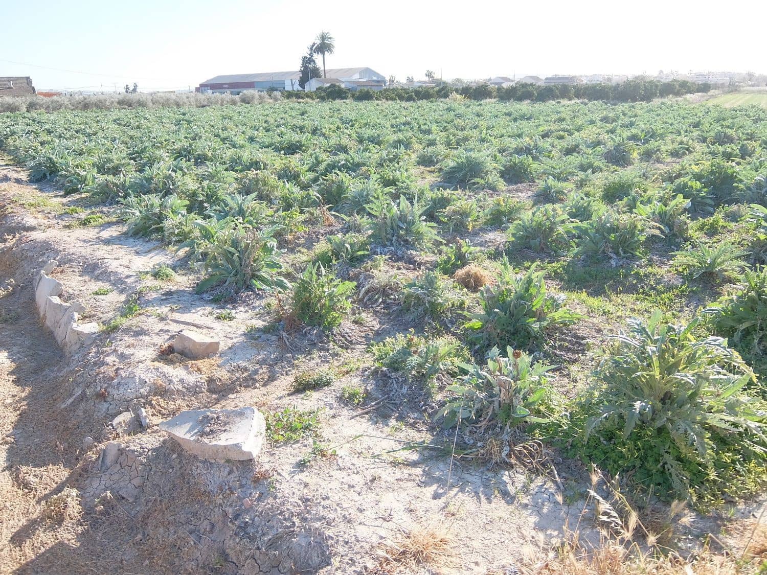 Finca/Landehus til salg i Daya Vieja med garage - € 149.000 (Ref: 5167458)