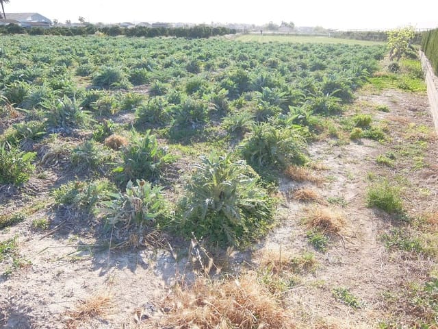 Finca/Landhuis te koop in Daya Vieja met garage - € 149.000 (Ref: 5167458)