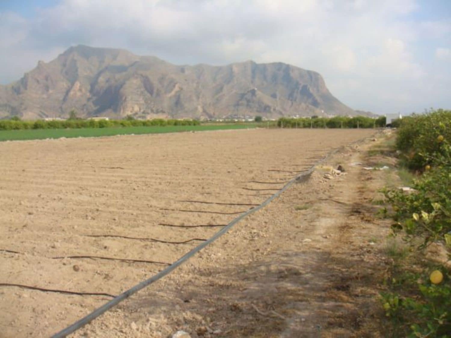 Teren niezagospodarowany na sprzedaż w Orihuela - 40 000 € (Ref: 5396288)