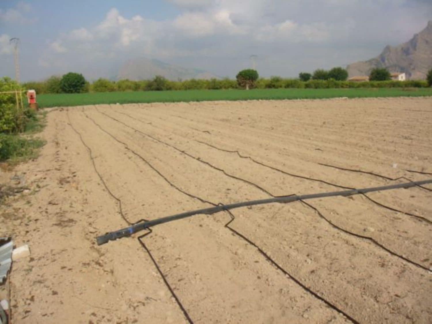 Teren niezagospodarowany na sprzedaż w Orihuela - 40 000 € (Ref: 5396288)