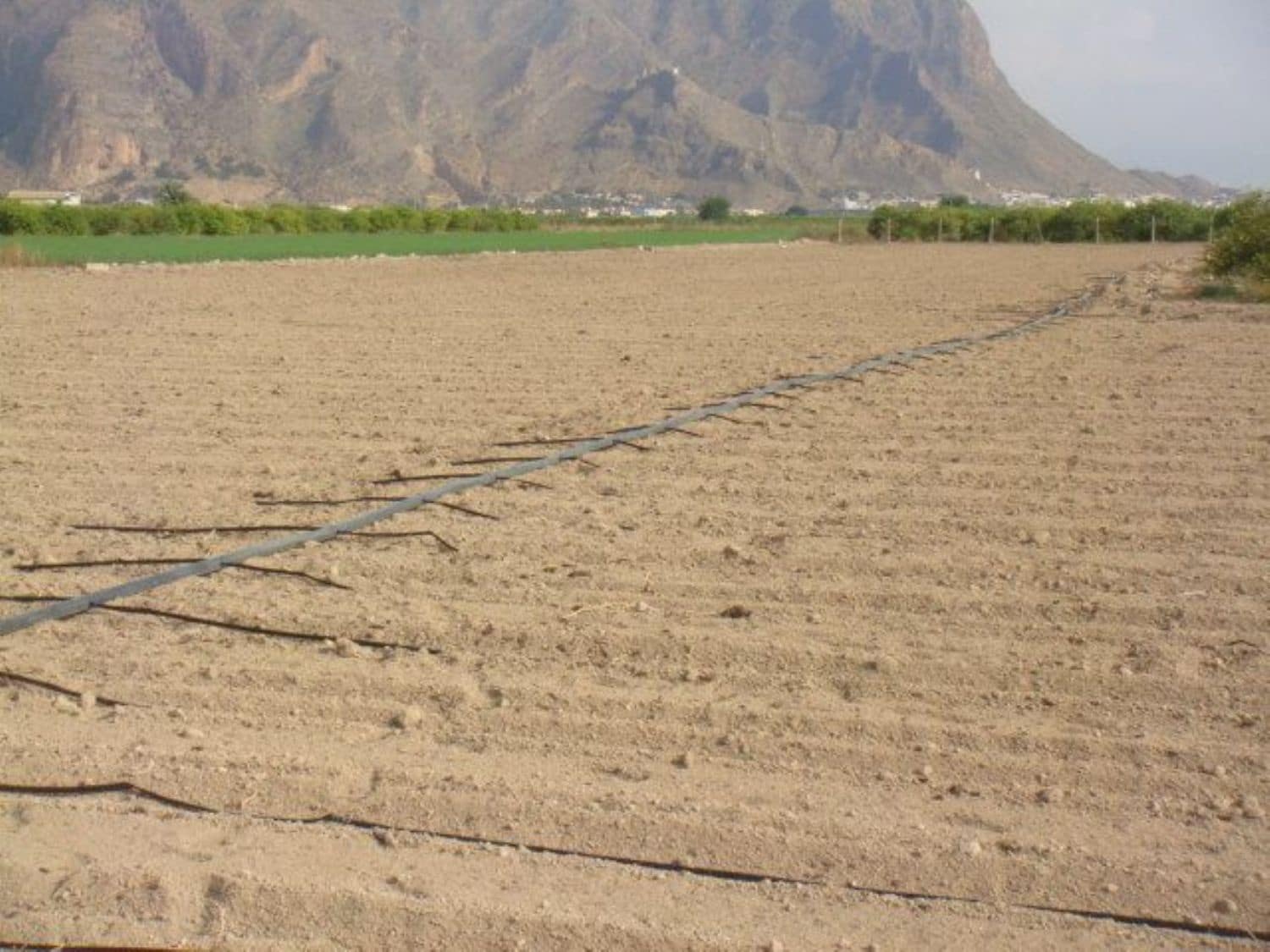 Teren niezagospodarowany na sprzedaż w Orihuela - 40 000 € (Ref: 5396288)