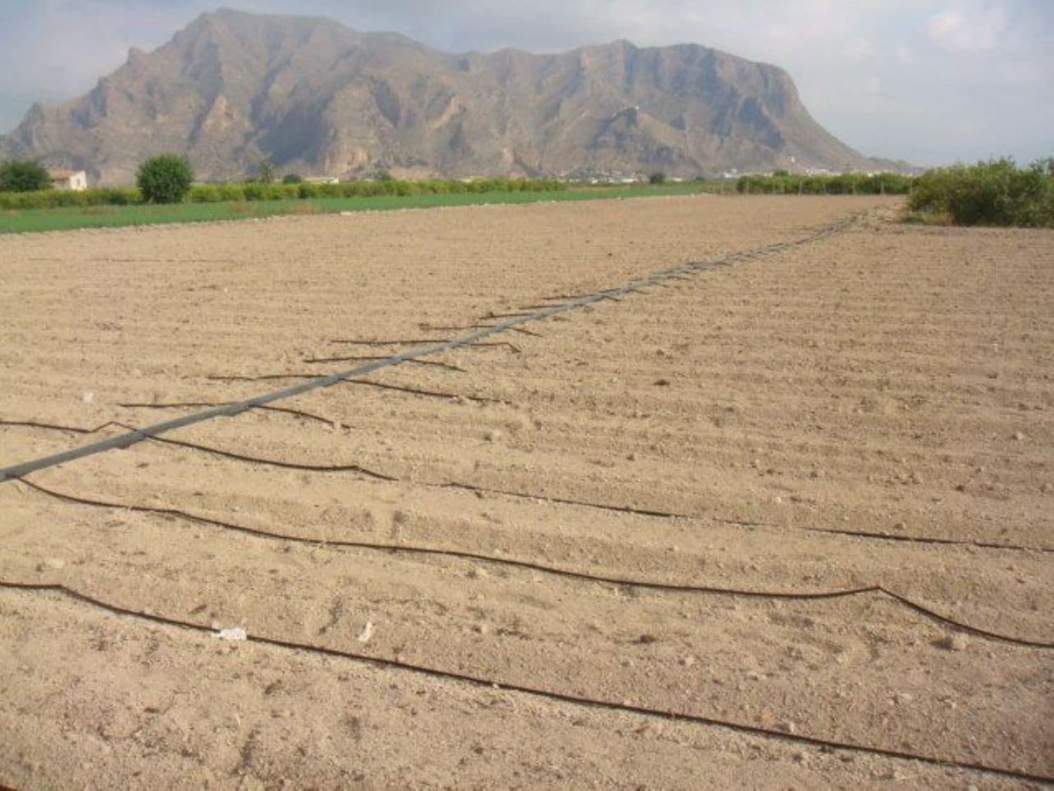 Teren niezagospodarowany na sprzedaż w Orihuela - 40 000 € (Ref: 5396288)