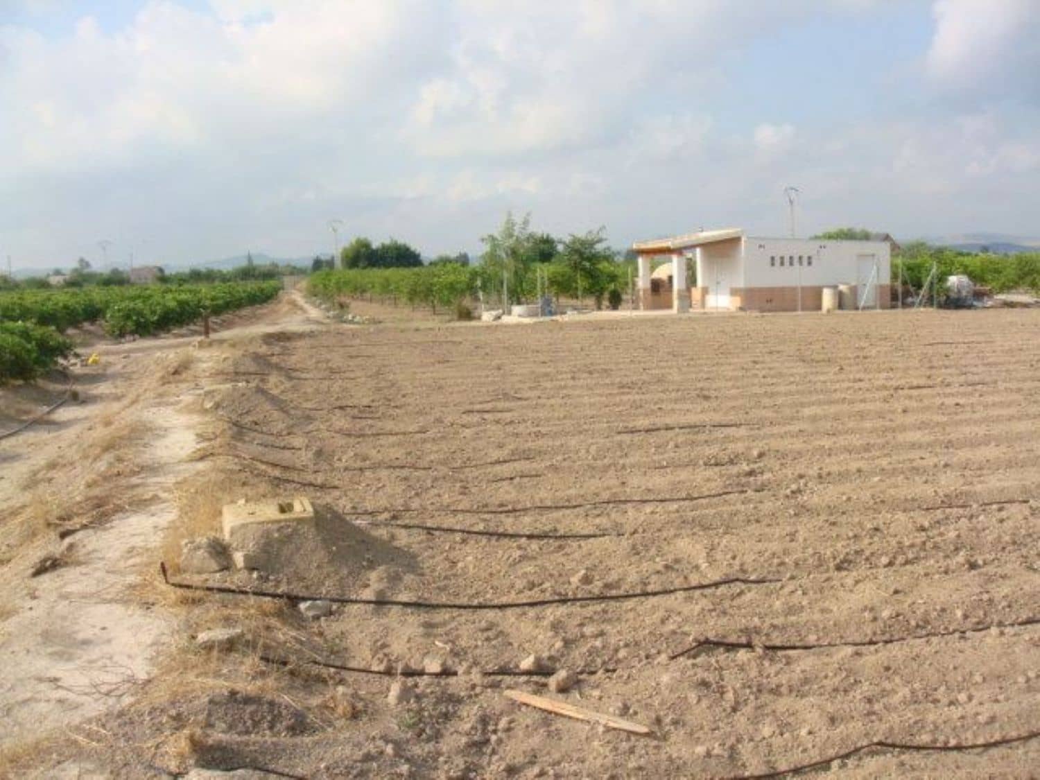 Teren niezagospodarowany na sprzedaż w Orihuela - 40 000 € (Ref: 5396288)