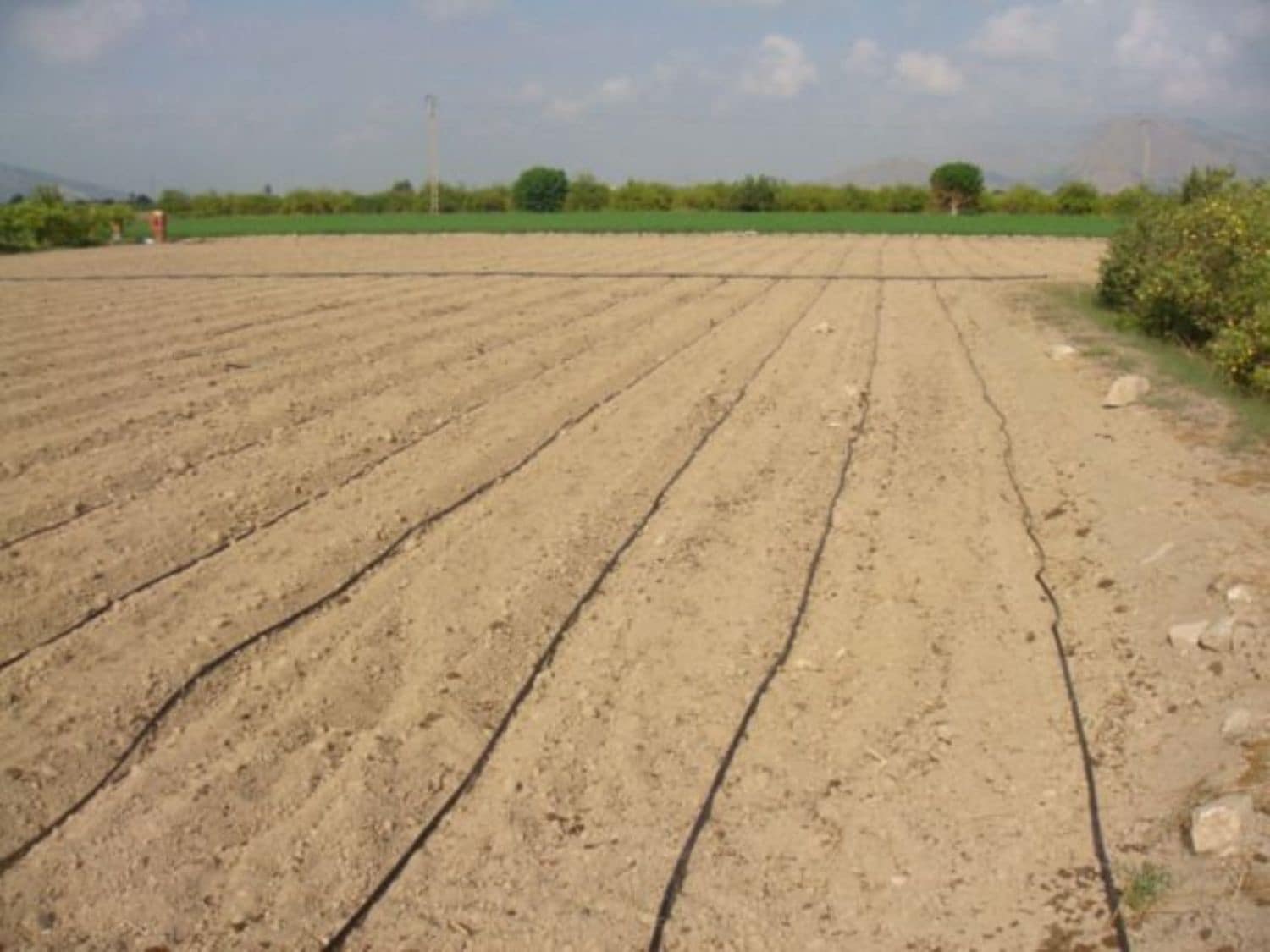 Teren niezagospodarowany na sprzedaż w Orihuela - 40 000 € (Ref: 5396288)