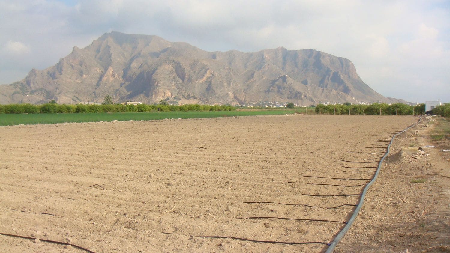 Teren niezagospodarowany na sprzedaż w Orihuela - 40 000 € (Ref: 5396288)