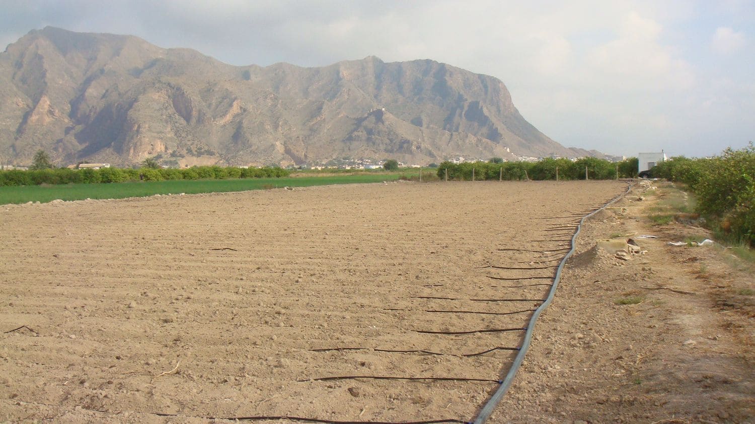 Teren niezagospodarowany na sprzedaż w Orihuela - 40 000 € (Ref: 5396288)