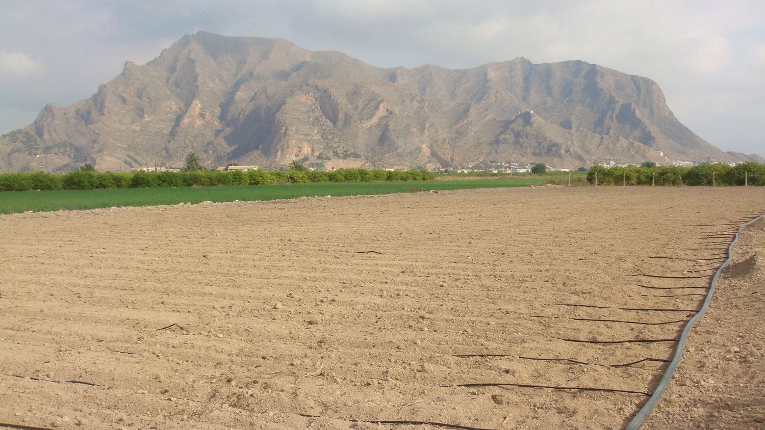 Teren niezagospodarowany na sprzedaż w Orihuela - 40 000 € (Ref: 5396288)