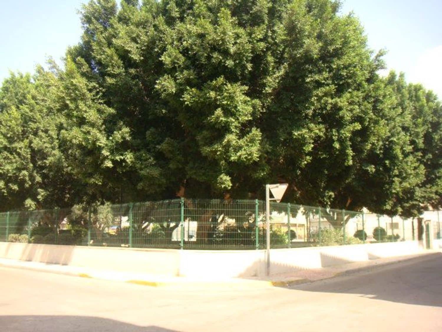 2 soveværelse Lejlighed til salg i Rafal med swimmingpool garage - € 99.000 (Ref: 5407904)