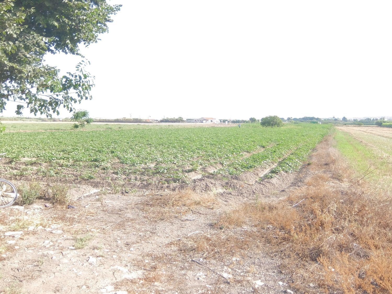 Quinta/Casa Rural para venda em San Fulgencio - 65 000 € (Ref: 5420264)