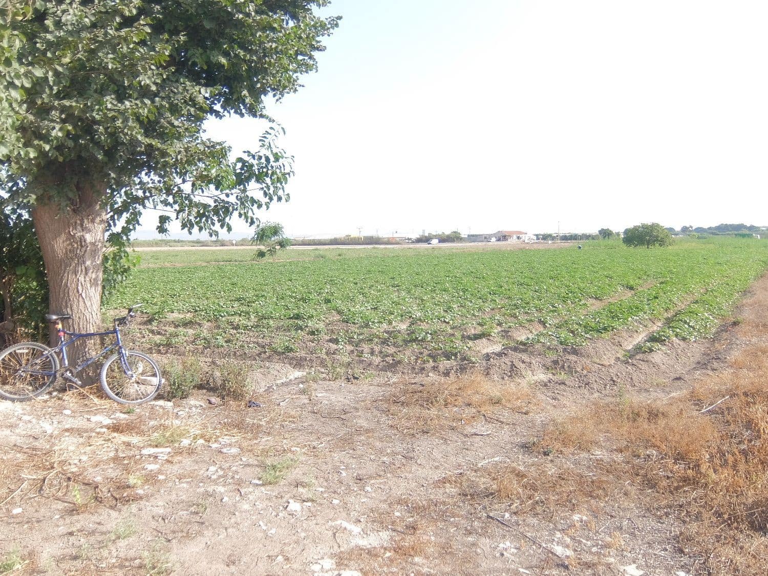 Quinta/Casa Rural para venda em San Fulgencio - 65 000 € (Ref: 5420264)