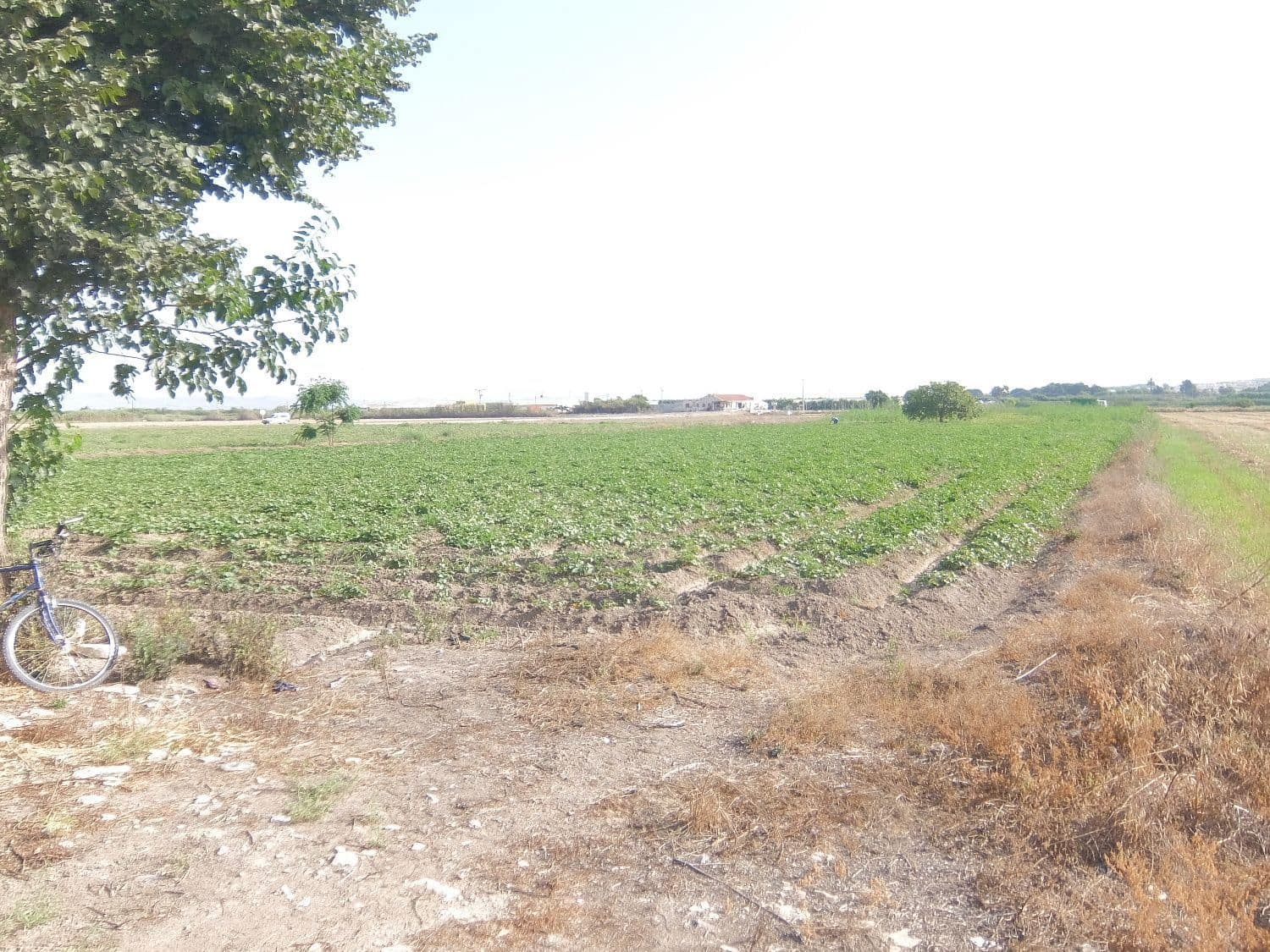 Quinta/Casa Rural para venda em San Fulgencio - 65 000 € (Ref: 5420264)