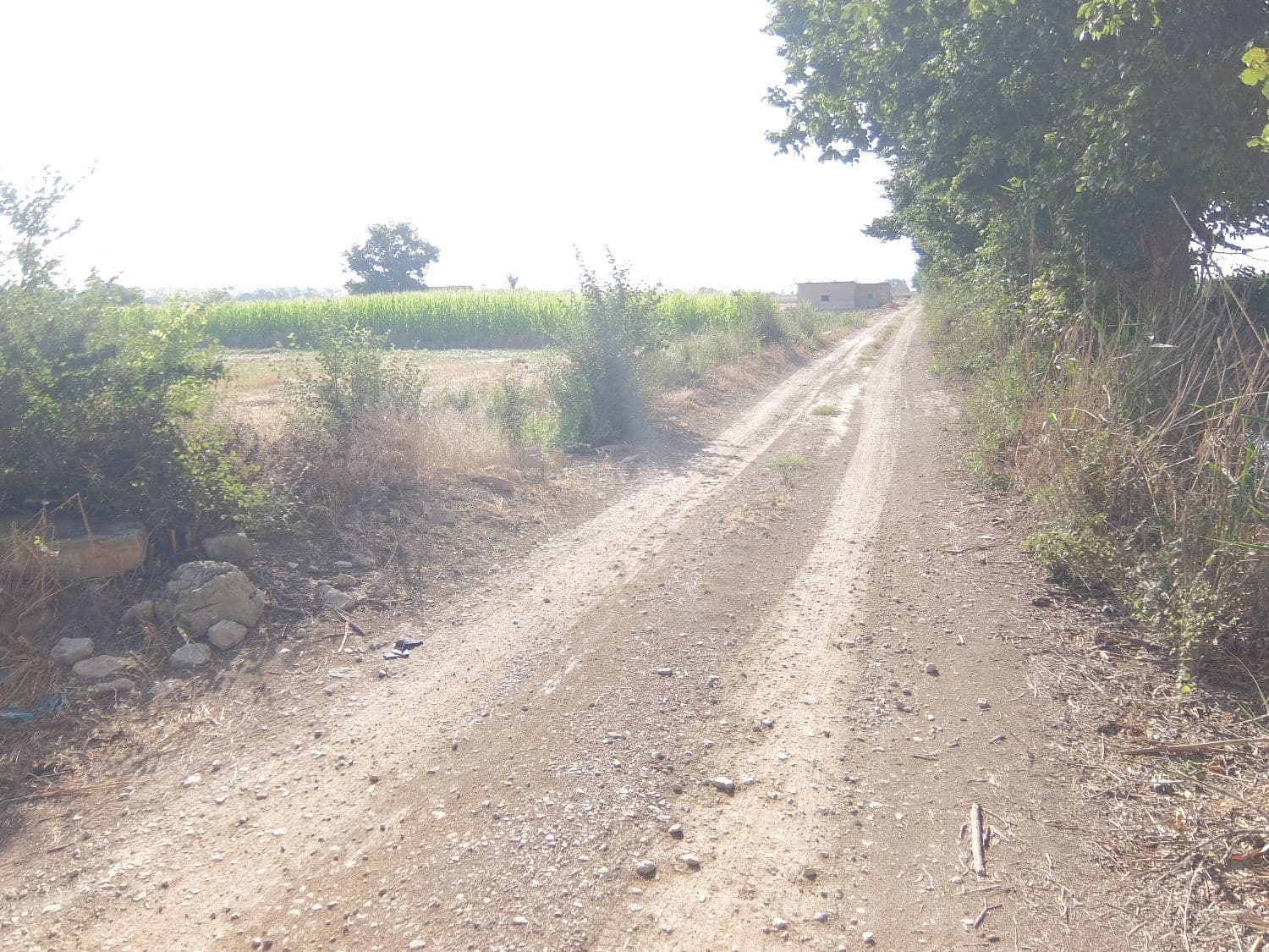 Quinta/Casa Rural para venda em San Fulgencio - 65 000 € (Ref: 5420264)