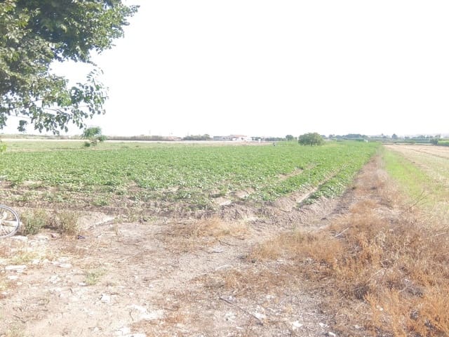 Quinta/Casa Rural para venda em San Fulgencio - 65 000 € (Ref: 5420264)