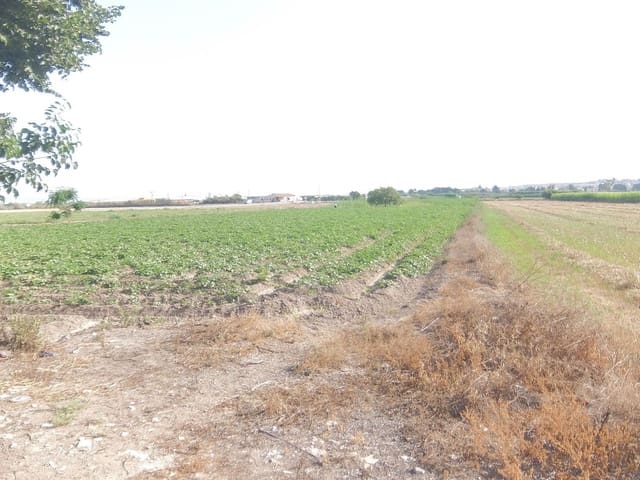 Quinta/Casa Rural para venda em San Fulgencio - 65 000 € (Ref: 5420264)