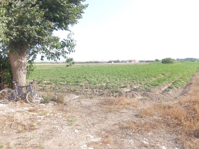 Quinta/Casa Rural para venda em San Fulgencio - 65 000 € (Ref: 5420264)